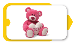 Teddy